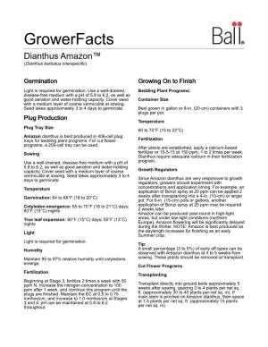 Growerfacts Dianthus Amazon™ (Dianthus Barbatus Interspecific)