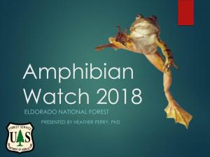 Amphibian Watch 2018 ELDORADO NATIONAL FOREST