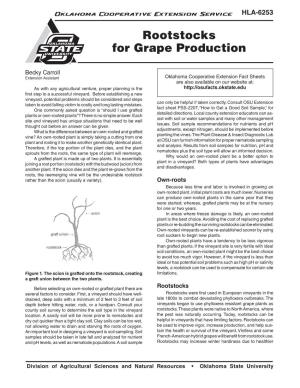 Rootstocks for Grape Production