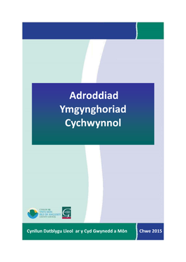 Adroddiad Ymgynghori Cychwynnol