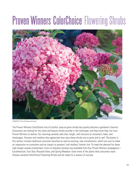 Proven Winners Colorchoice Line of Colorful, Easy-To-Grow Shrubs Has Quickly Become a Gardener’S Favorite