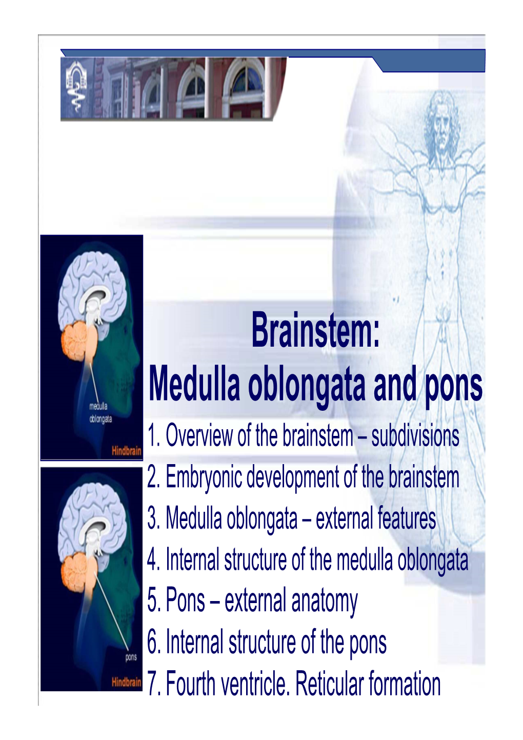 Medulla Oblongata and Pons 1