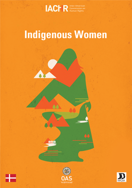 Human Rights of Indigenous Women in the Americas