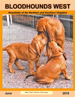 Bloodhounds West, Inc