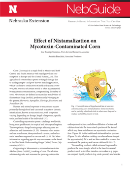 Effect of Nixtamalization on Mycotoxin-Contaminated Corn