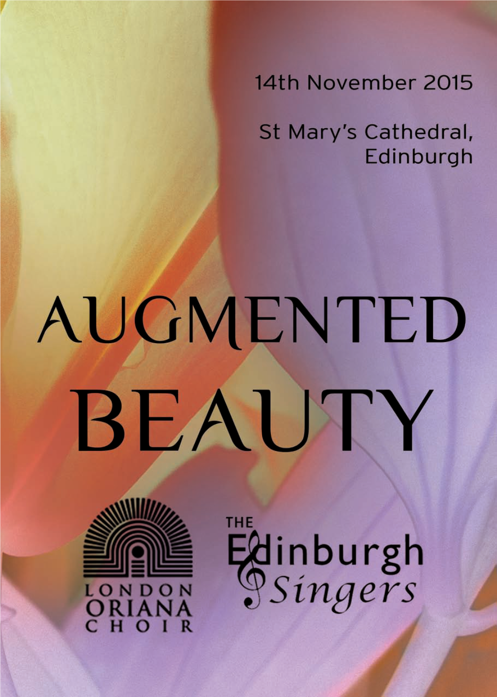 Augmented Beauty, November 2015