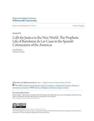 Calls for Justice in the New World: the Prophetic Life of Bartolomé De Las Casas in the Spanish Colonization of the Americas