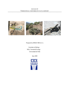 Annex 12 Terrestrial Vertebrate Fauna Report
