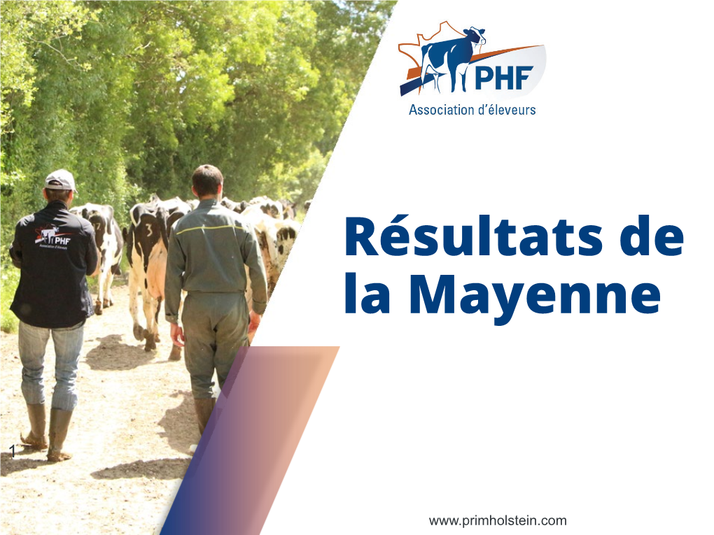 Résultats De La Mayenne