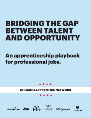 Apprenticeship Playbook for Professional Jobs