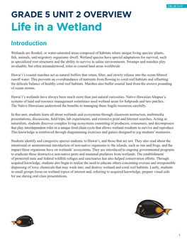 Life in a Wetland