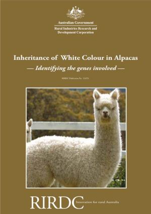 Inheritance of White Colour in Alpacas — Identifying the Genes Involved —