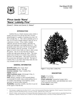 Pinus Taeda ‘Nana’ ‘Nana’ Loblolly Pine1 Edward F