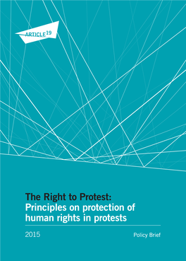 Principles on Protection of Human Rights in Protests