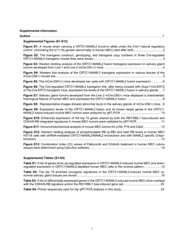 Suppl Info 2021-01-04 Fv