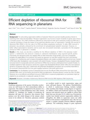 Efficient Depletion of Ribosomal RNA for RNA Sequencing in Planarians Iana V