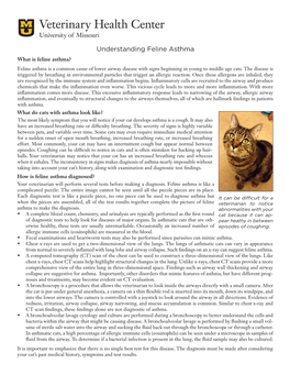 Understanding Feline Asthma What Is Feline Asthma? Feline Asthma Is a Common Cause of Lower Airway Disease with Signs Beginning in Young to Middle Age Cats