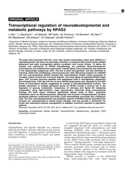 Transcriptional Regulation of Neurodevelopmental and Metabolic Pathways by NPAS3