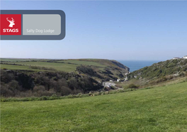 Salty Dog Lodge Salty Dog Lodge Trelake Lane, Treknow, Tintagel, PL34 0EW Tintagel 1 Mile Camelford (A39) 4 Miles Wadebridge 15 Miles