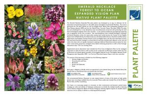 Native Plant Palette