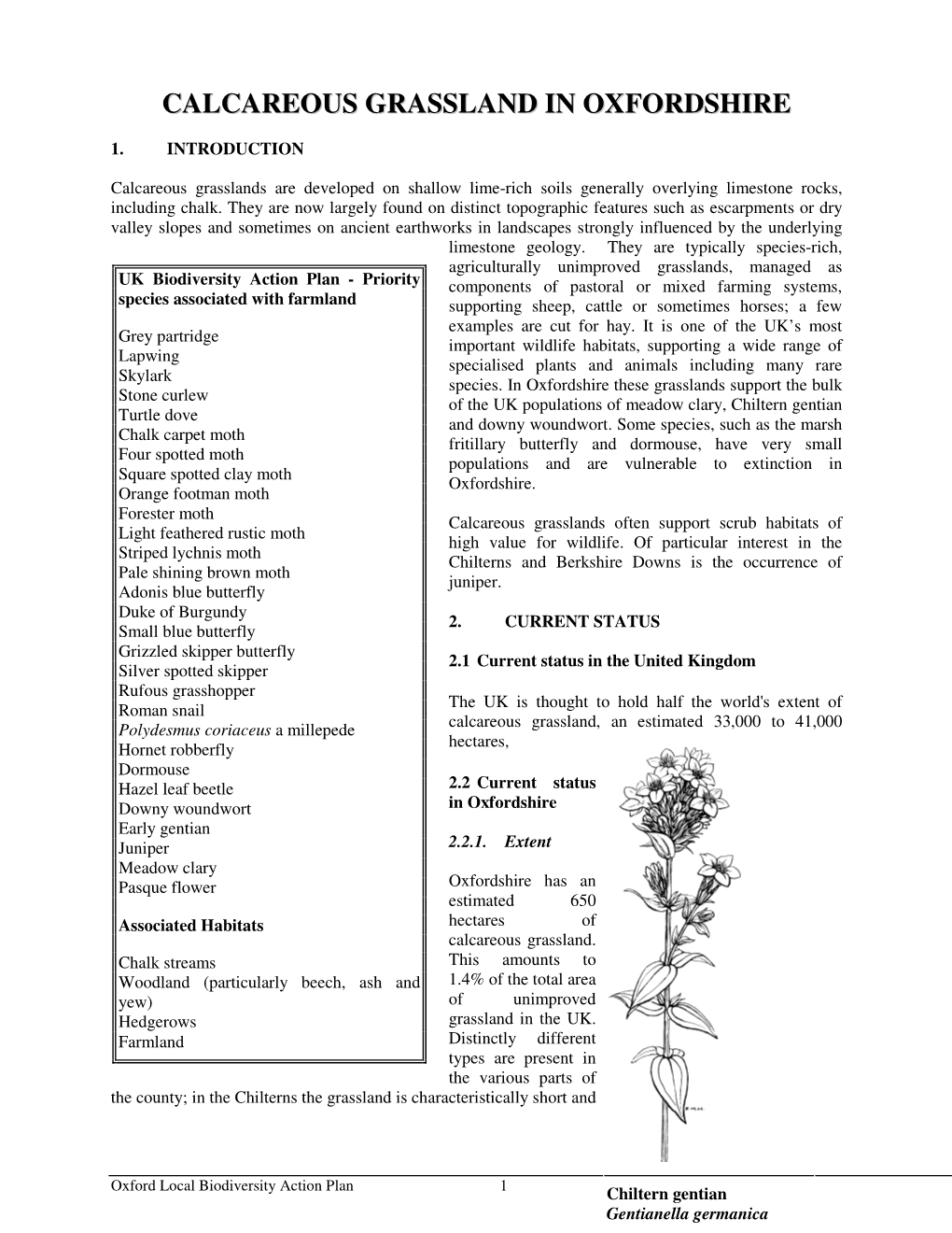 Lowland Calcareous Grassland