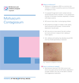 Molluscum Contagiosum (MC) Is a Common Skin Infection in Children Caused by a Poxvirus (Molluscum Contagiosum Virus)