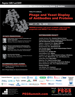 Phage and Yeast Display of Antibodies and Proteins