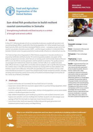 Sun-Dried Fish Production to Build Resilient Coastal Communities in Somalia