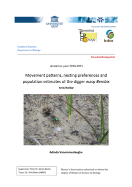 Mobility and Habitat Use of the Common European Sand Wasp