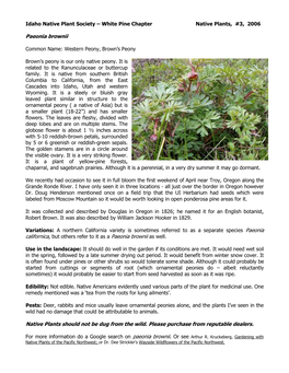 Paeonia Brownii Species Species Sheet