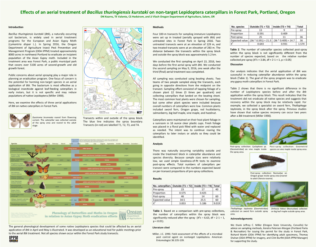 Effects of an Aerial Treatment of Bacillus Thuringiensis Kurstaki on Non-Target Lepidoptera Caterpillars in Forest Park, Portla