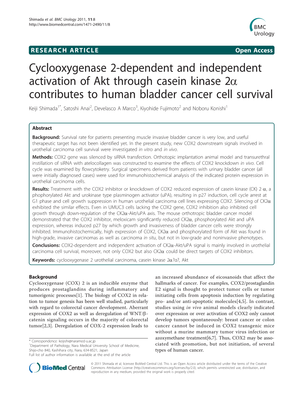 Cyclooxygenase 2-Dependent and Independent Activation of Akt