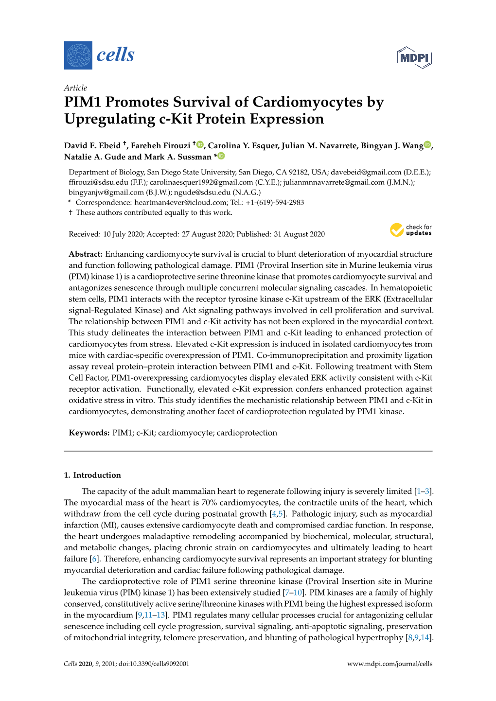 PIM1 Promotes Survival of Cardiomyocytes by Upregulating C-Kit Protein Expression