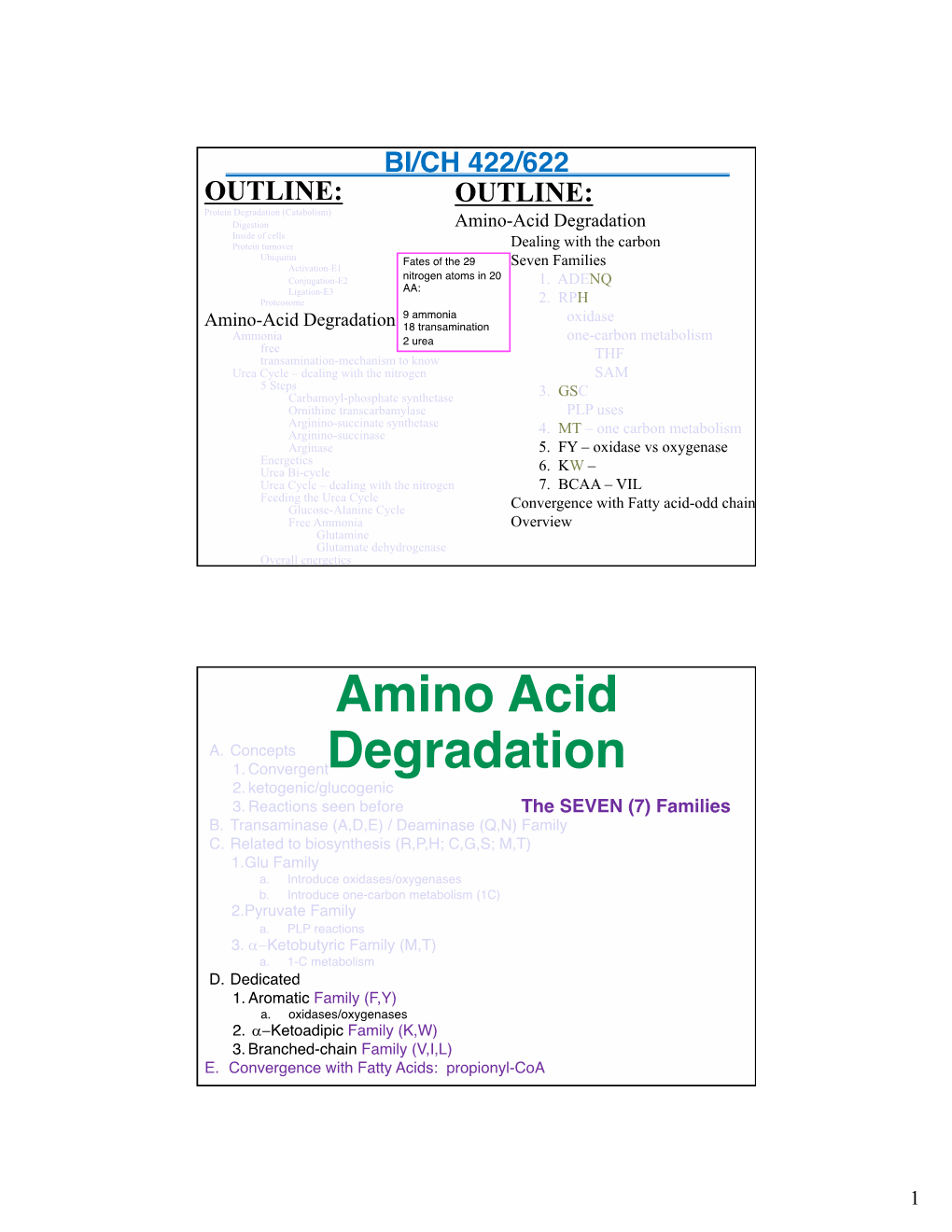 Amino Acid Degradation