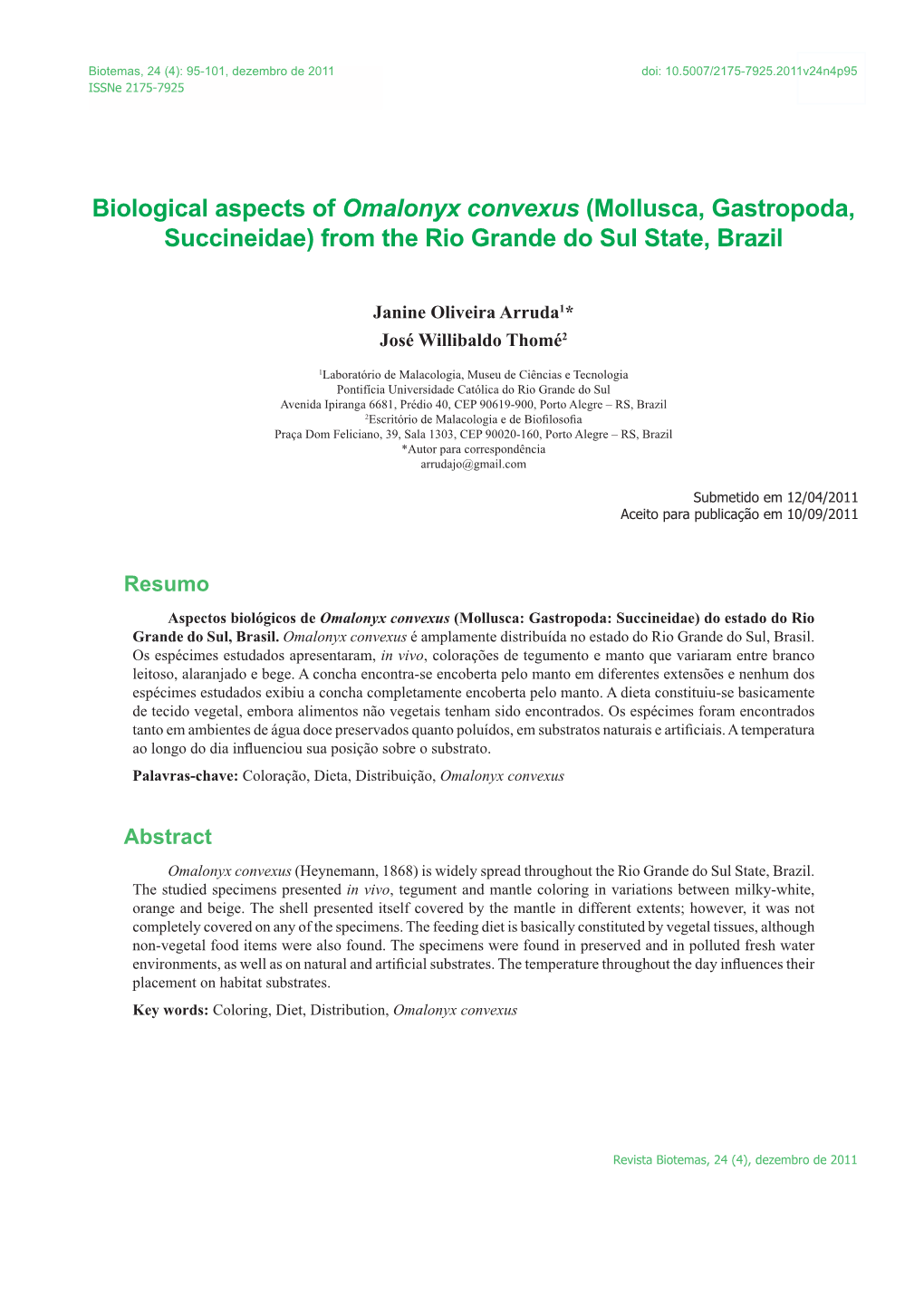 Biological Aspects of Omalonyx Convexus (Mollusca, Gastropoda, Succineidae) from the Rio Grande Do Sul State, Brazil