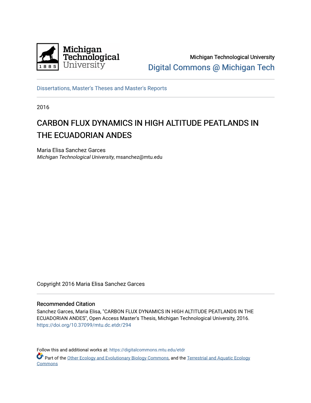 Carbon Flux Dynamics in High Altitude Peatlands in the Ecuadorian Andes