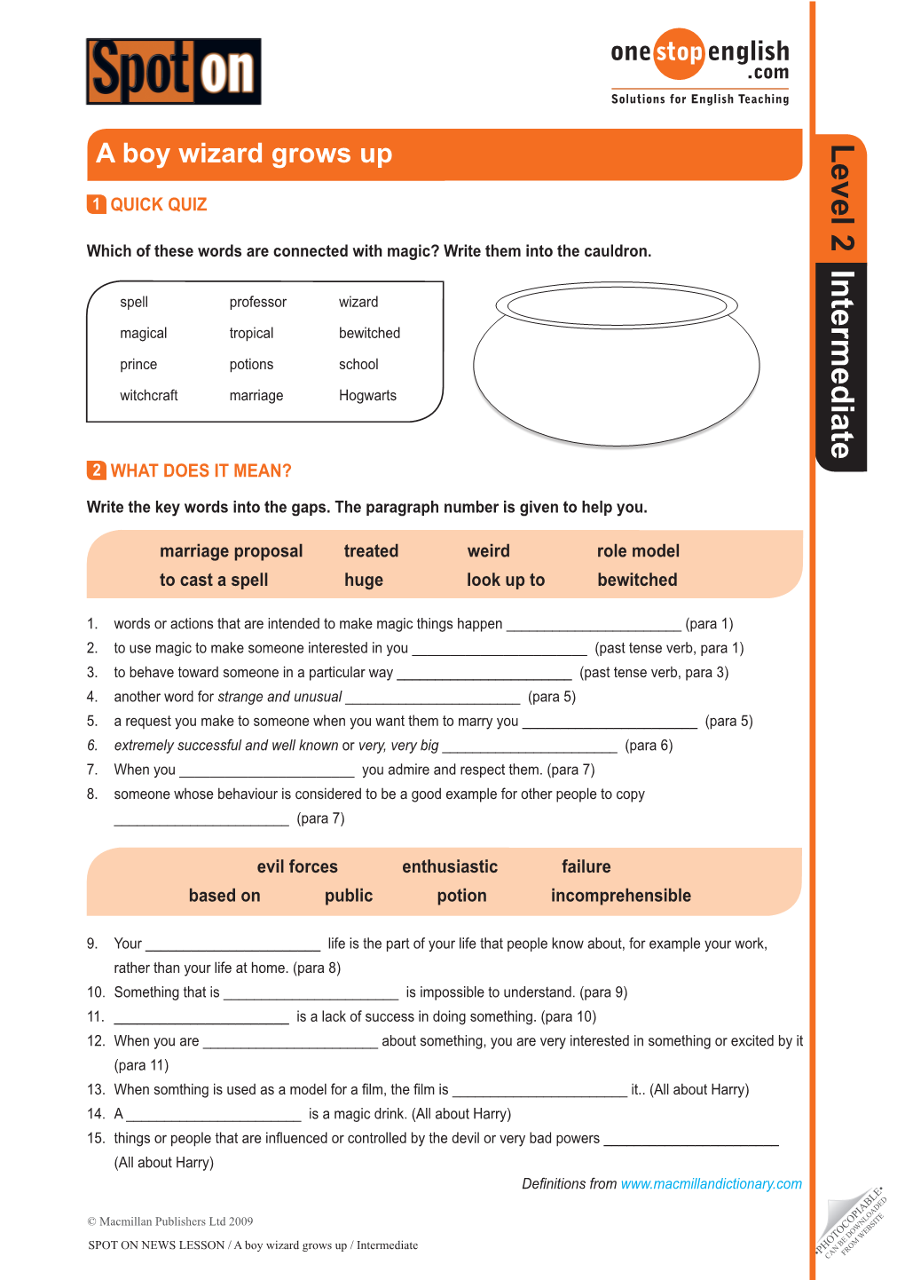 A Boy Wizard Grows up Intermediate Worksheet