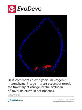 Development of an Embryonic Skeletogenic Mesenchyme Lineage