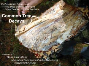 Common Tree Decays