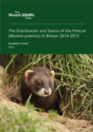 The Distribution and Status of the Polecat (Mustela Putorius) in Britain 2014-2015