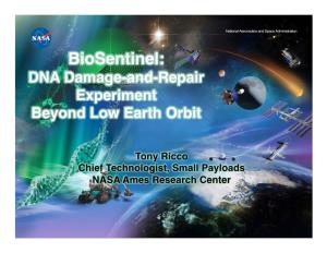 Biosentinel: ! DNA Damage-And-Repair Experiment ! Beyond Low Earth Orbit!