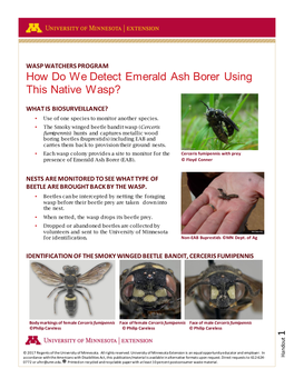 UMN Wasp Watcher Training Materials