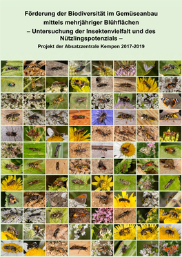 Untersuchung Der Insektenvielfalt Und Des Nützlingspotenzials – Projekt Der Absatzzentrale Kempen 2017-2019