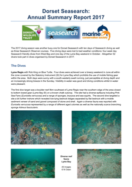Dorset Seasearch: Annual Summary Report 2017