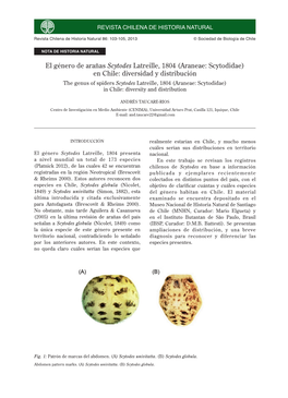 El Género De Arañas Scytodes Latreille, 1804