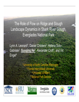 The Role of Flow on Ridge and Slough Landscape Dynamics in Shark River Slough, Everglades National Park