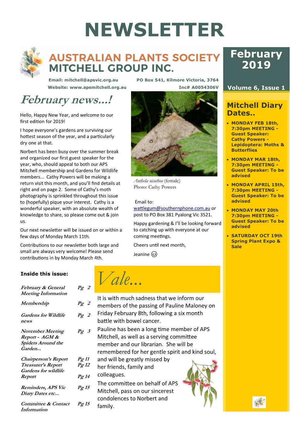 APS Mitchell Newsletter 2019 6.1 February