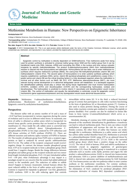 Methionine Metabolism in Humans: New Perspectives on Epigenetic