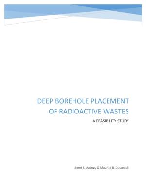 Deep Borehole Placement of Radioactive Wastes a Feasibility Study