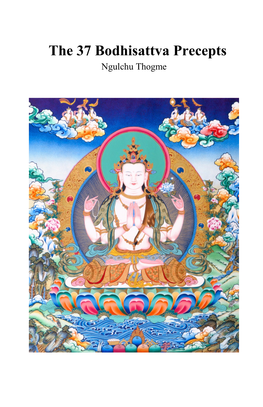 The 37 Bodhisattva Precepts Ngulchu Thogme